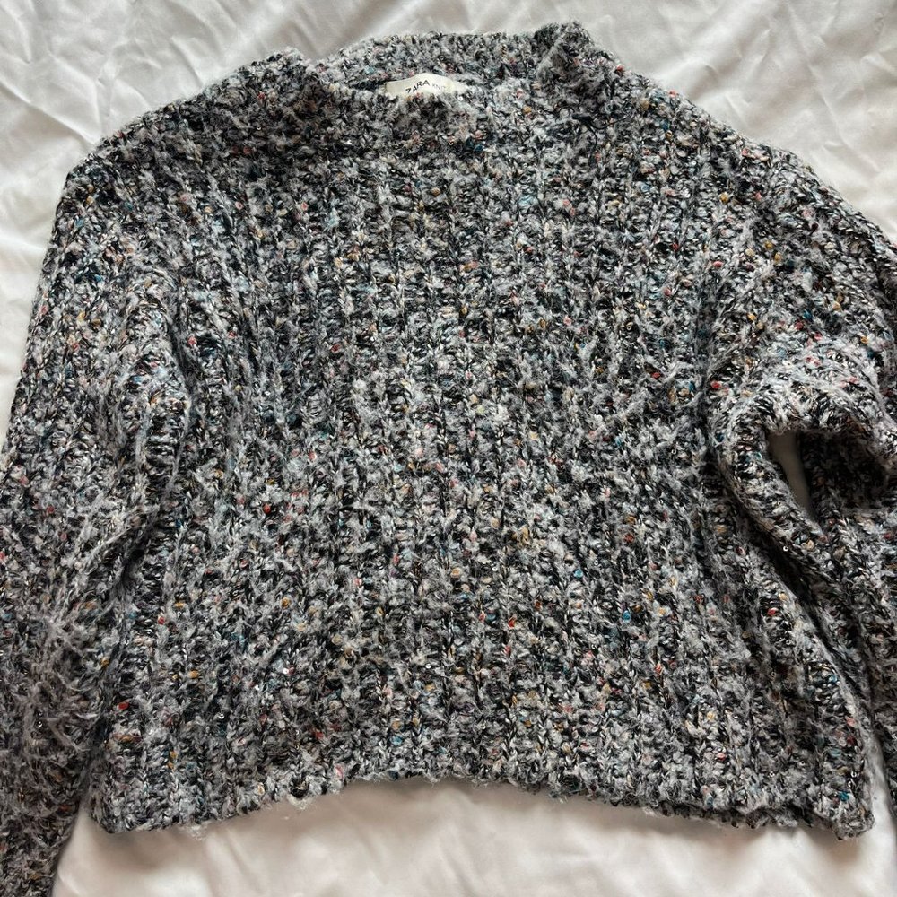 Zara Gray Multi Cropped Sweater
